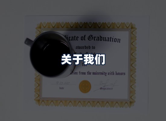 关于我们